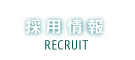 採用情報